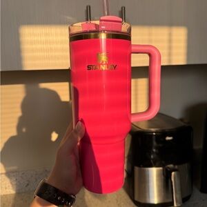 40 oz Stanley Cup in Pink Parade